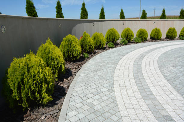 Reasons to Select Us for Your Driveway Paving Requirements in Spring Valley, IL